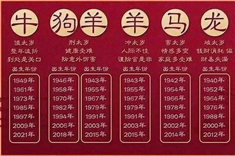 2028 生肖|2028年属什么生肖